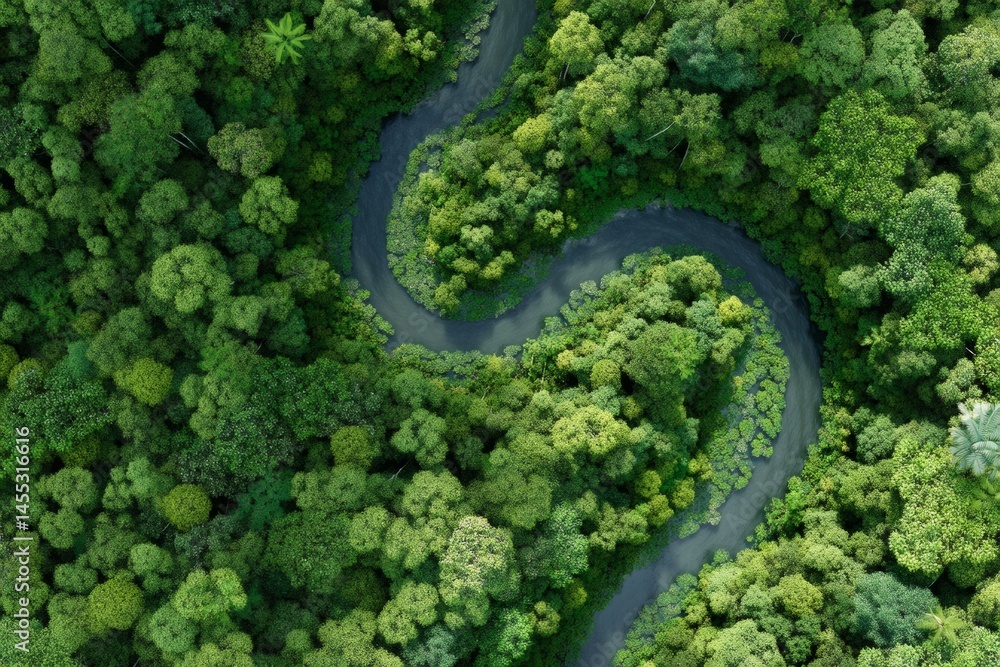 Topdown view Winding river among dense green trees in a lush forest canopy Topdown view Winding river among dense green trees in a lush forest canopy
