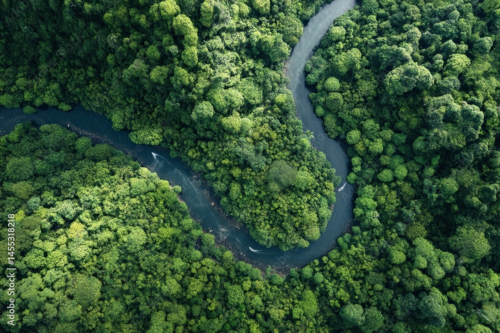 Fototapeta premium Forest Canopy River Aerial View, Evergreen Trees Winding River Top Down, Green Landscape