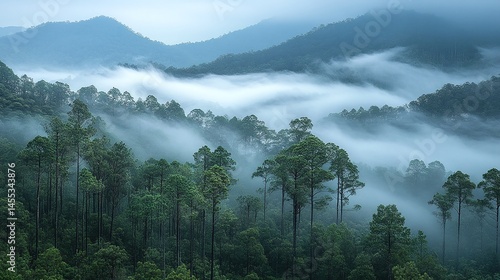 Generative AI Image of Hill Mountain Landscape with Trees in Foggy Forest