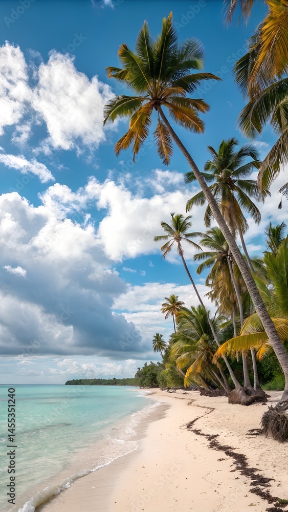 Obraz premium tropical beach with palm trees