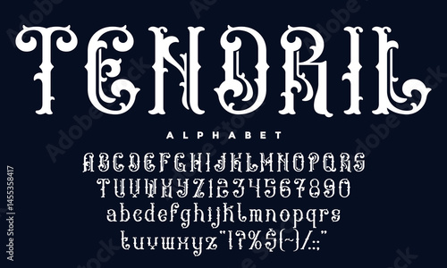 Victorian font, antique medieval typeface, vintage script type, elegant alphabet with gothic flourishes vector typography set. Vintage medieval victorian classic serif font english alphabet with curls