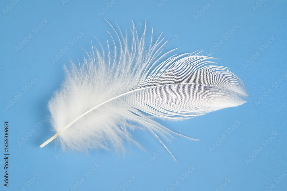 Fototapeta premium Elegant White Feather On Light Blue Background Minimalist Style Symbol Of Lightness And Softness Smooth Texture Perfect For Creative Projects Representing Purity And Innocence
