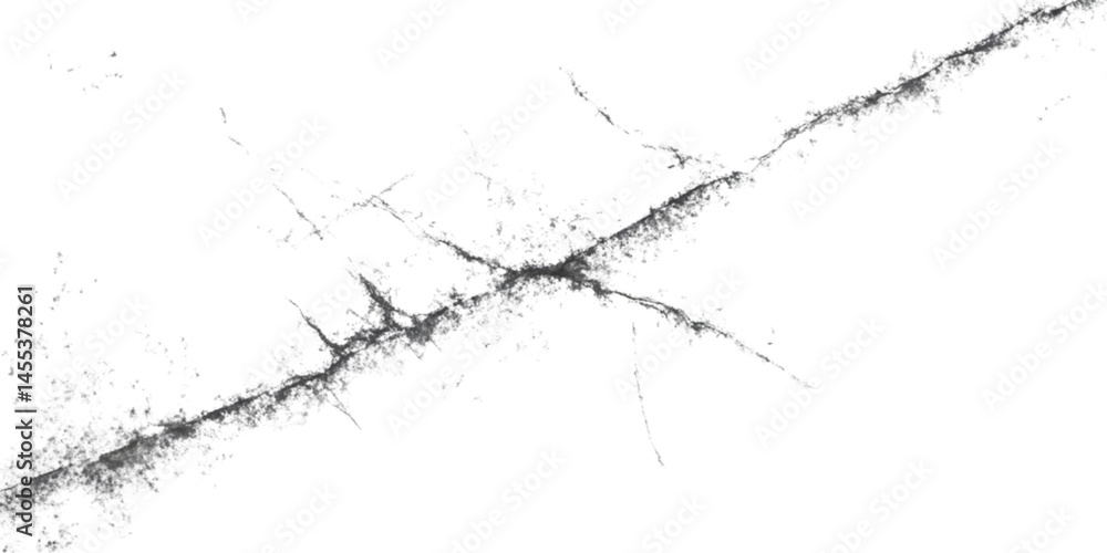 Abstract Monochrome Branch Silhouette On Transparent Background Abstract Monochrome Branch Silhouette On Transparent Background