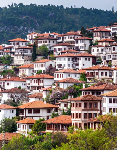 Overcast Day View of Densely Clustered Historic Houses on Hillside