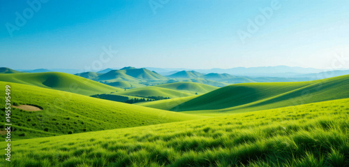 Rolling green hills stretch to a hazy horizon under a brilliant blue sky.  The vibrant landscape is peaceful and idyllic, perfect for a nature escape.
