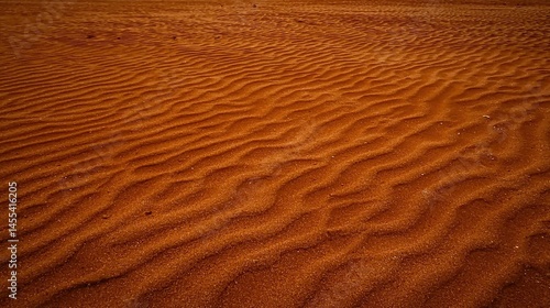 Wallpaper Mural Detailed view of a textured red sand surface. Torontodigital.ca