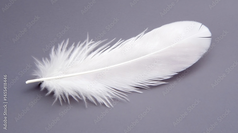 Obraz premium Detailed studio shot of a single white feather on neutral gray background