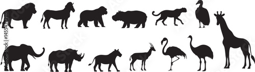 動物に関するシルエットセット
