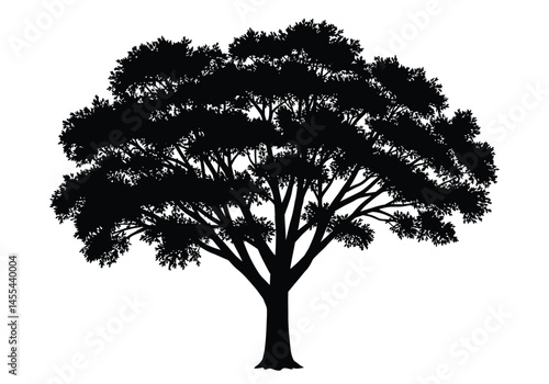 Cottonwood tree silhouette. This image shows a black silhouette of a cottonwood tree with detailed branches and foliage, also known as a poplar tree. Vector clipart illustration design.