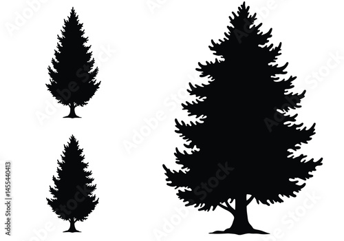 Cypress tree silhouette. This image shows a black silhouette of a tall cypress tree with distinct branches and dense foliage, representing evergreen nature. Vector clipart illustration design.