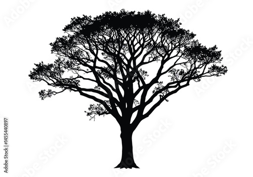 Elm tree silhouette. This image shows a black silhouette of an elm tree with detailed branches and foliage, representing its distinct arboreal characteristics. Vector clipart illustration design.