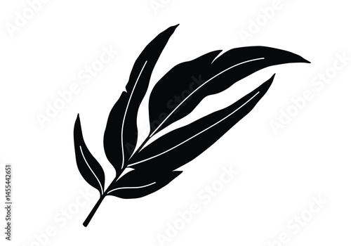 Gum leaf silhouette. This image shows a black silhouette of a gum leaf, also known as eucalyptus leaf, with detailed shape and texture. Vector clipart illustration design.