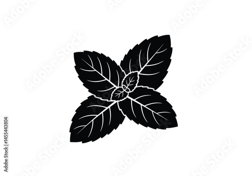 Mint leaf silhouette. This image shows a black silhouette of a mint leaf, also known as peppermint leaf or spearmint leaf, with distinct foliage and shape. Vector clipart illustration design.