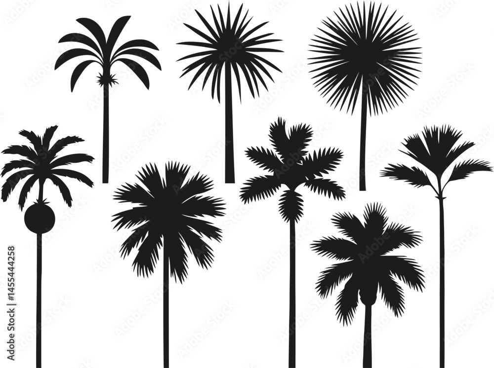 Fototapeta premium A tropical set of black palm tree silhouettes, a vector illustration of nature's summer design
