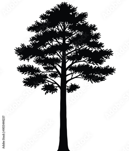 Tall tree silhouette. This image shows a black silhouette of a tall tree with detailed branches and foliage, also known as a towering tree or forest giant. Vector clipart illustration design.