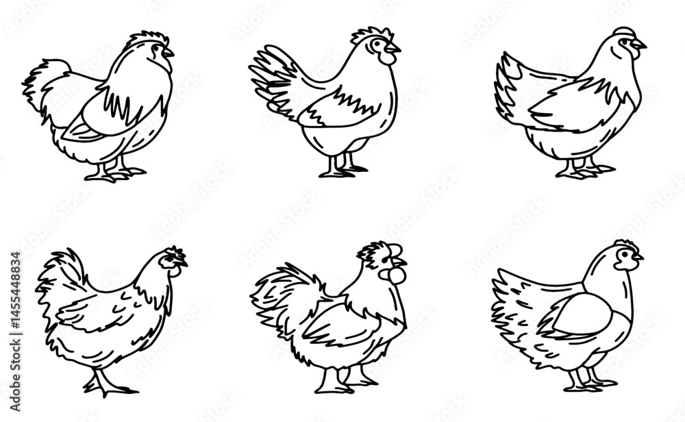 Obraz premium Chicken icons set. vector