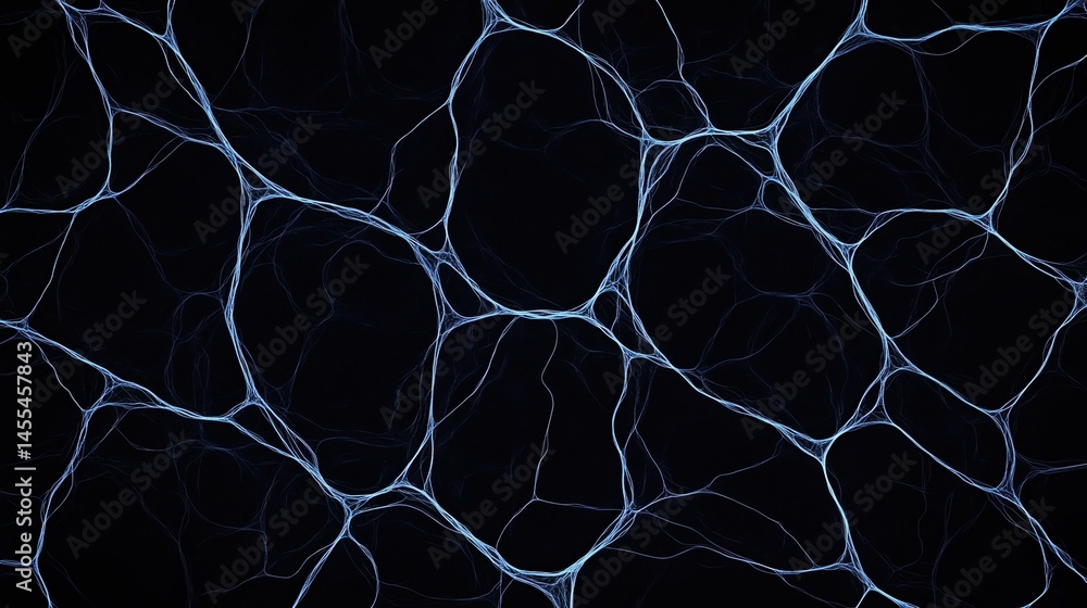 Fototapeta premium Thin, web-like branching lines form an abstract network pattern against a dark background.