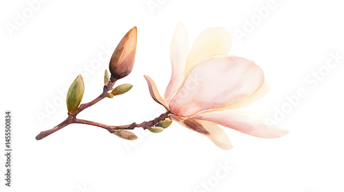 A watercolor painting of a pink flower with a green stem