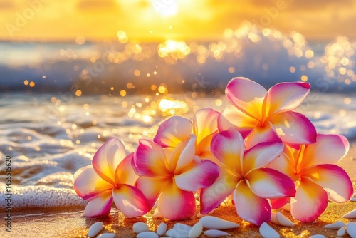 Plumeria blossoms on beach at sunset