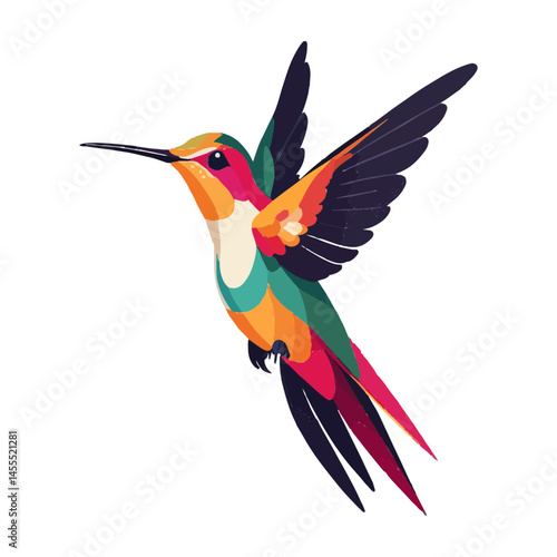 Beautiful flying hummingbird vector