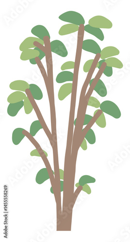 植栽のイラスト