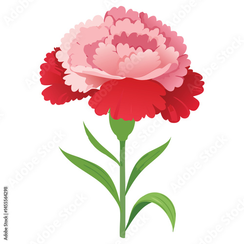Delicate Carnation Flower Illustration – Botanical Art for Prints, Design & Decor