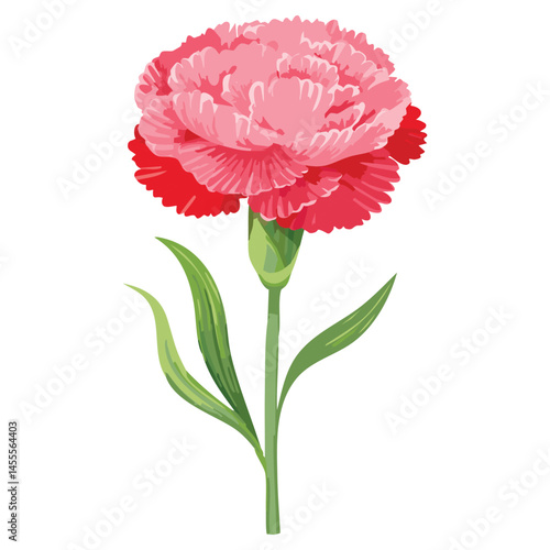 Delicate Carnation Flower Illustration – Botanical Art for Prints, Design & Decor