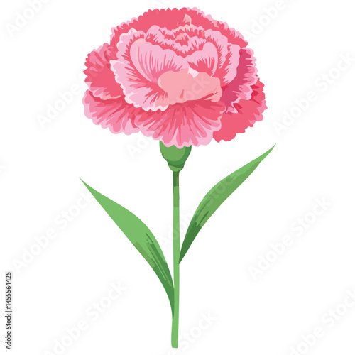 Delicate Carnation Flower Illustration – Botanical Art for Prints, Design & Decor