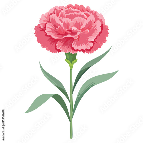 Delicate Carnation Flower Illustration – Botanical Art for Prints, Design & Decor