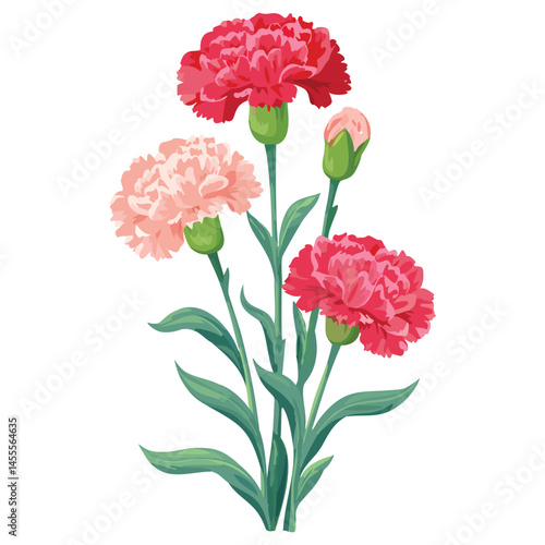 Delicate Carnation Flower Illustration – Botanical Art for Prints, Design & Decor