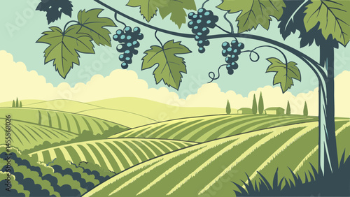 Vineyard landscape vector illustration with grapevines, fields, and sky vie