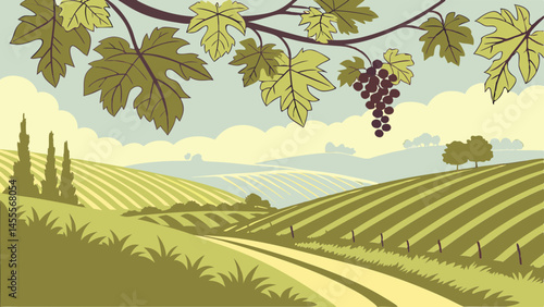 Vineyard landscape vector illustration with grapevines, fields, and sky vie