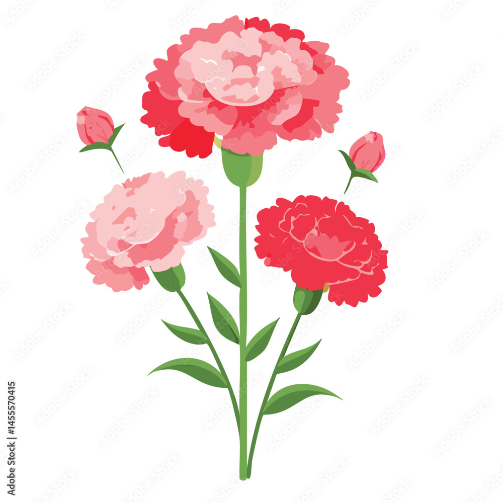 Delicate Carnation Flower Illustration – Botanical Art for Prints, Design & Decor Delicate Carnation Flower Illustration – Botanical Art for Prints, Design & Decor