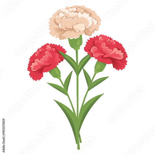 Delicate Carnation Flower Illustration – Botanical Art for Prints, Design & Decor