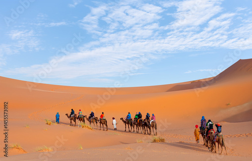 Caravan of camel in the sahara desert of Morocco at sunset time