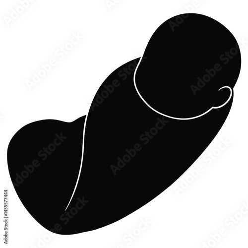 Sleeping Baby Fetal Position Art