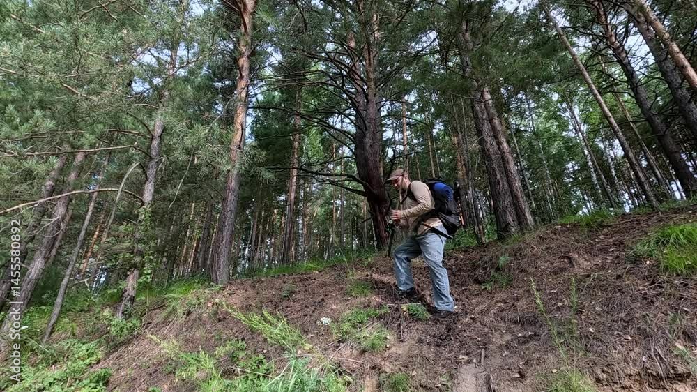 A tourist walks and wanders through the forest with a backpack. A tourist walks and wanders through the forest with a backpack.
