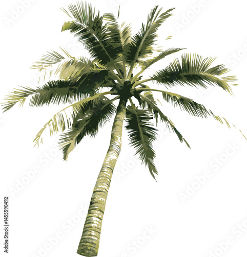 bottom view of a tall palm tree with green leaves