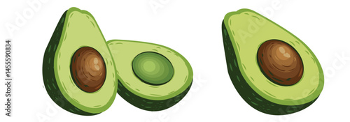 Avocado Halves Vector Illustration