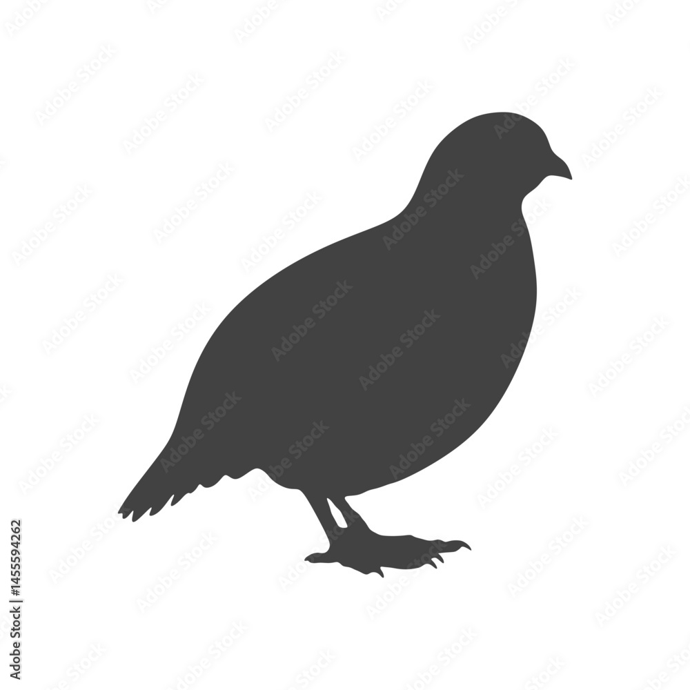 Vector silhouette of a bird on a transparent background Vector silhouette of a bird on a transparent background