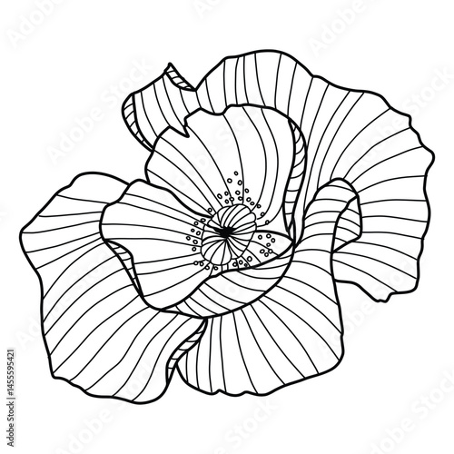 Botanical black Clipart Wildflower