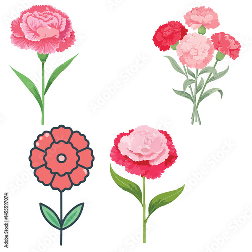 Delicate Carnation Flower Illustration – Botanical Art for Prints, Design & Decor