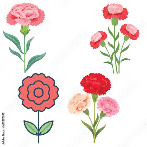 Delicate Carnation Flower Illustration – Botanical Art for Prints, Design & Decor