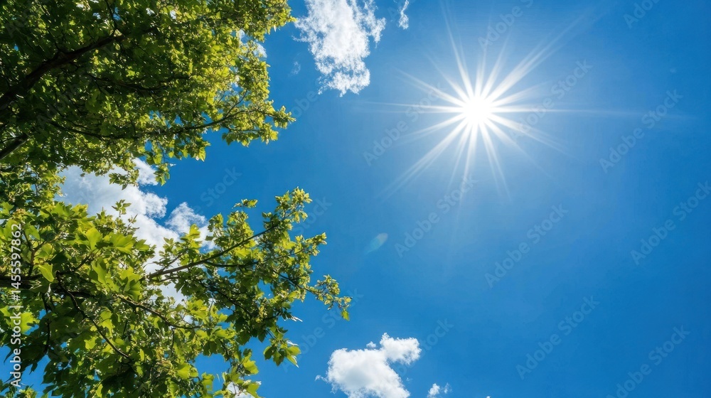 Obraz premium Sunlight through green tree leaves and blue sky