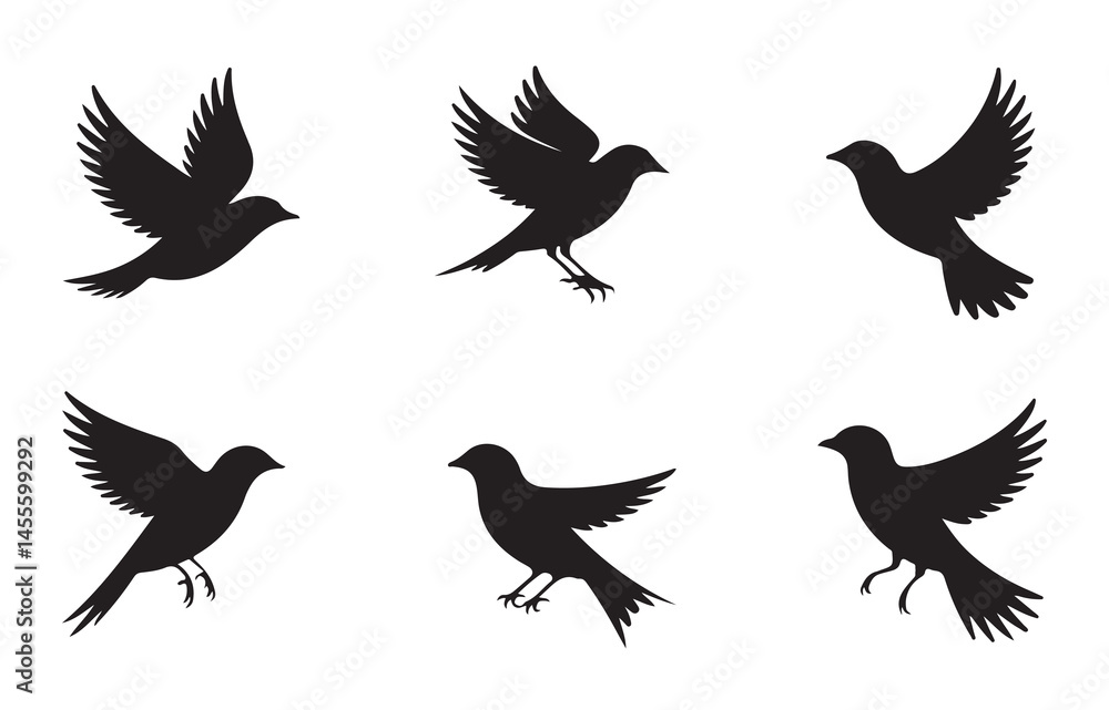 Fototapeta premium Set of black bird silhouettes as vector elements for decoration, nature, and design projects