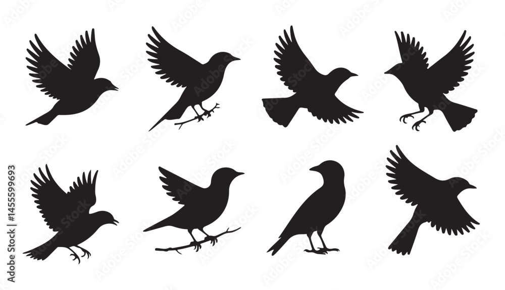 Obraz premium Set of black bird silhouettes as vector elements for decoration, nature, and design projects