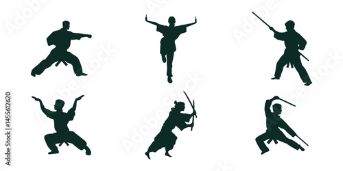 Martial Arts Silhouettes Diverse Poses Training Action