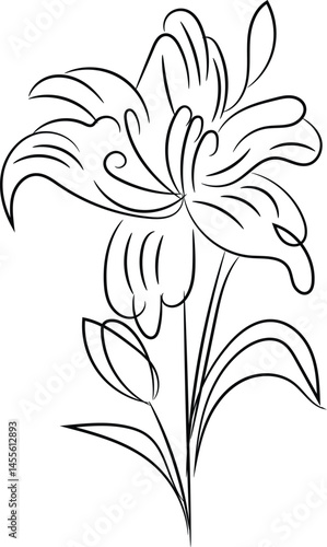 Elegant Line Art Drawing of a Single Lily Flower with Bud