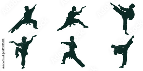Martial Arts Silhouettes Dynamic Poses  Training Action