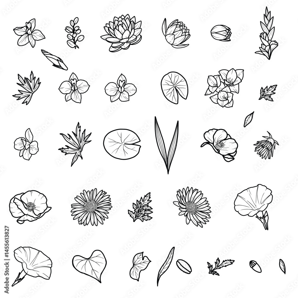 Fototapeta premium Birth flower Element Bundle